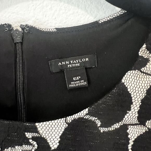 Ann Taylor floral dress size 6P fit and flare Business Casual Work Holidays Chic - Picture 2 of 8